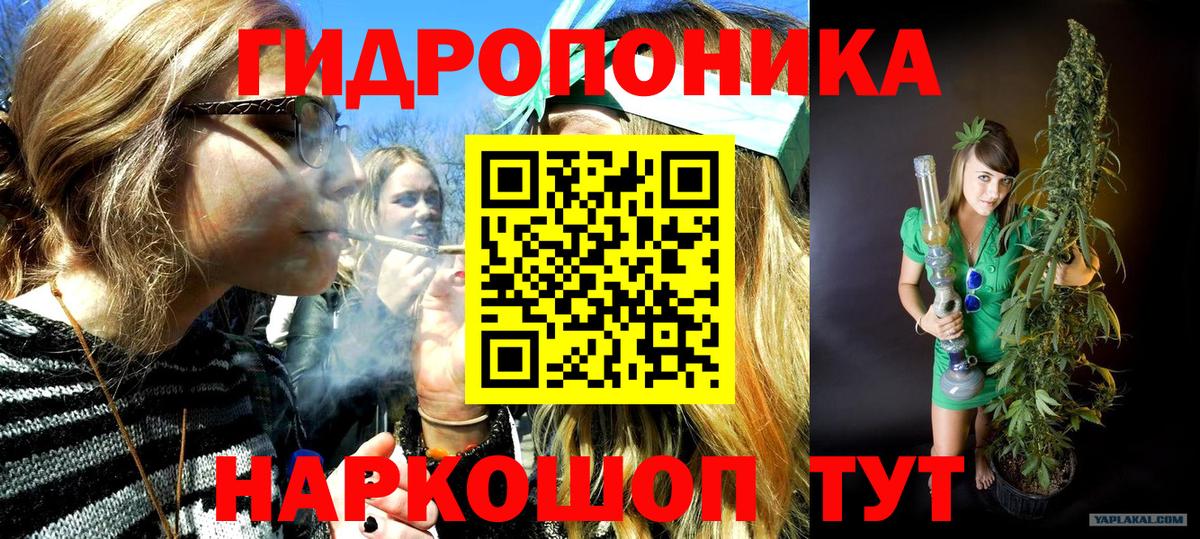 Бошки Шишки планчик Тамбов